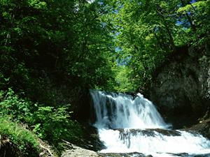 東横INN大阪伊丹空港:快適なビジネス&観光向け宿泊施設の詳細ガイド