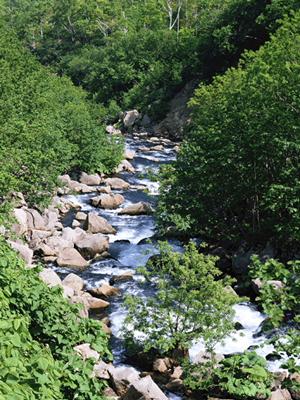 石垣島の旅行をサポートするレンタカー店