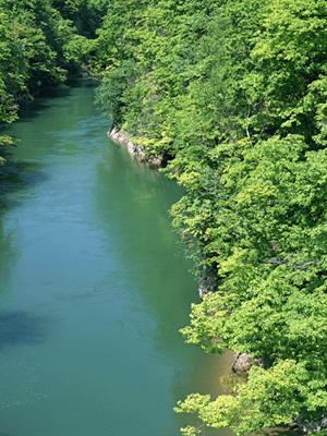函館駅から徒歩2分の便利なロケーション!東横INN函館駅前朝市の魅力と特徴
