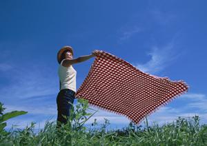 鳥取駅近くの快適ビジネスホテル | 東横INN鳥取駅北口の魅力と特徴