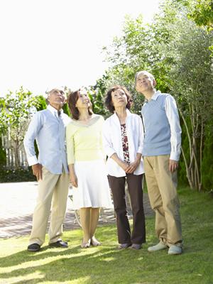 小豆島観光は大型フェリーの快適な船旅で