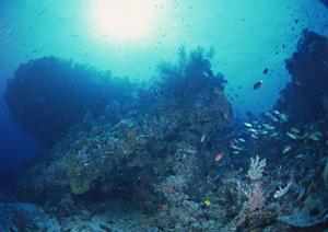姫路駅すぐそば!東横INN姫路駅新幹線南口の魅力と利用ポイント