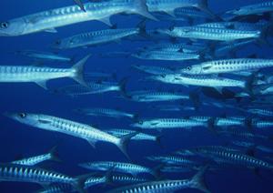 香川県丸亀市のビジネスホテル【東横INN丸亀駅前】の魅力と詳細紹介