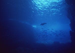 神奈川県平塚市のビジネスホテル「東横INN湘南平塚駅北口2」の全貌と魅力