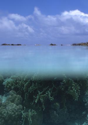 【最新】東横INN新大阪中央口新館の魅力と詳細情報|快適なビジネス・観光利用に最適なホテルガイド