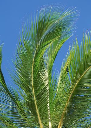 東京駅・日本橋から徒歩3分!快適な滞在を提供する東横INN東京駅八重洲北口の魅力と詳細情報