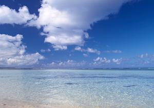 東京の新名所の展望を満喫する東京スカイツリーツアー