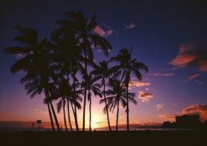 山口市のビジネスホテル「東横INN新山口駅新幹線口」:快適な宿泊と充実のサービスを提供