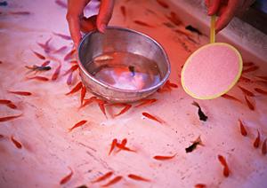 成田空港利用者必見!東横INN成田空港本館の魅力と最新情報完全ガイド