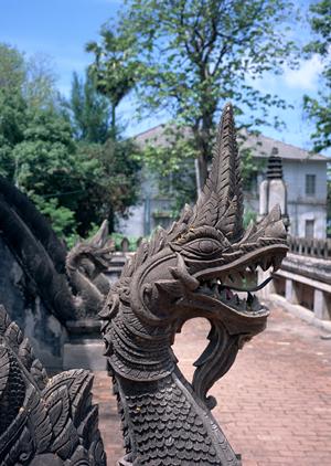 2026年版 代官山のフォトスタジオ徹底比較｜おすすめポイントと選び方ガイド