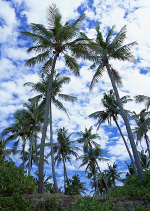 クルーズプラネットを利用して船旅