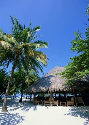 京都のビジネスホテルなら東横INN京都四条大宮 – 快適な宿泊と便利なアクセスを実現