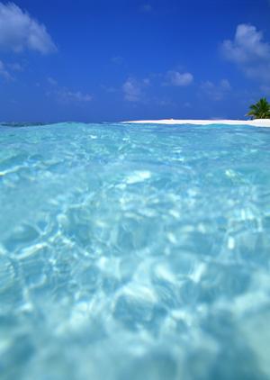 新宿御苑前駅徒歩1分の快適ビジネスホテル【東横INN新宿御苑前駅3番出口】の魅力と詳細情報