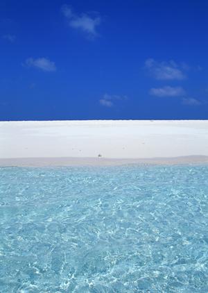 名古屋駅新幹線口近くの快適なビジネスホテル|東横INN名古屋駅新幹線口の魅力と特徴