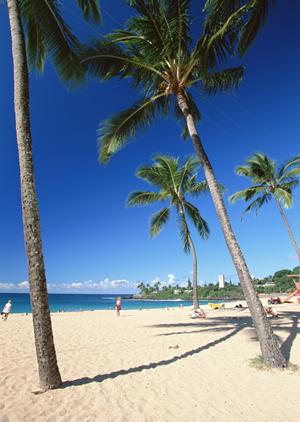 横浜でおすすめのハリネズミカフェ