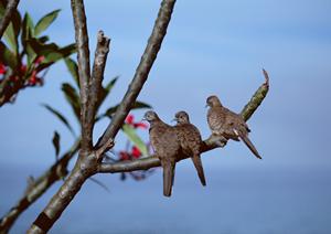 マルセイユの中心に位置する快適なビジネス&観光ホテル:トヨコイン・マルセイユセント・チャールズ