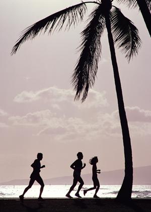 小豆島に行くためのフェリーについて